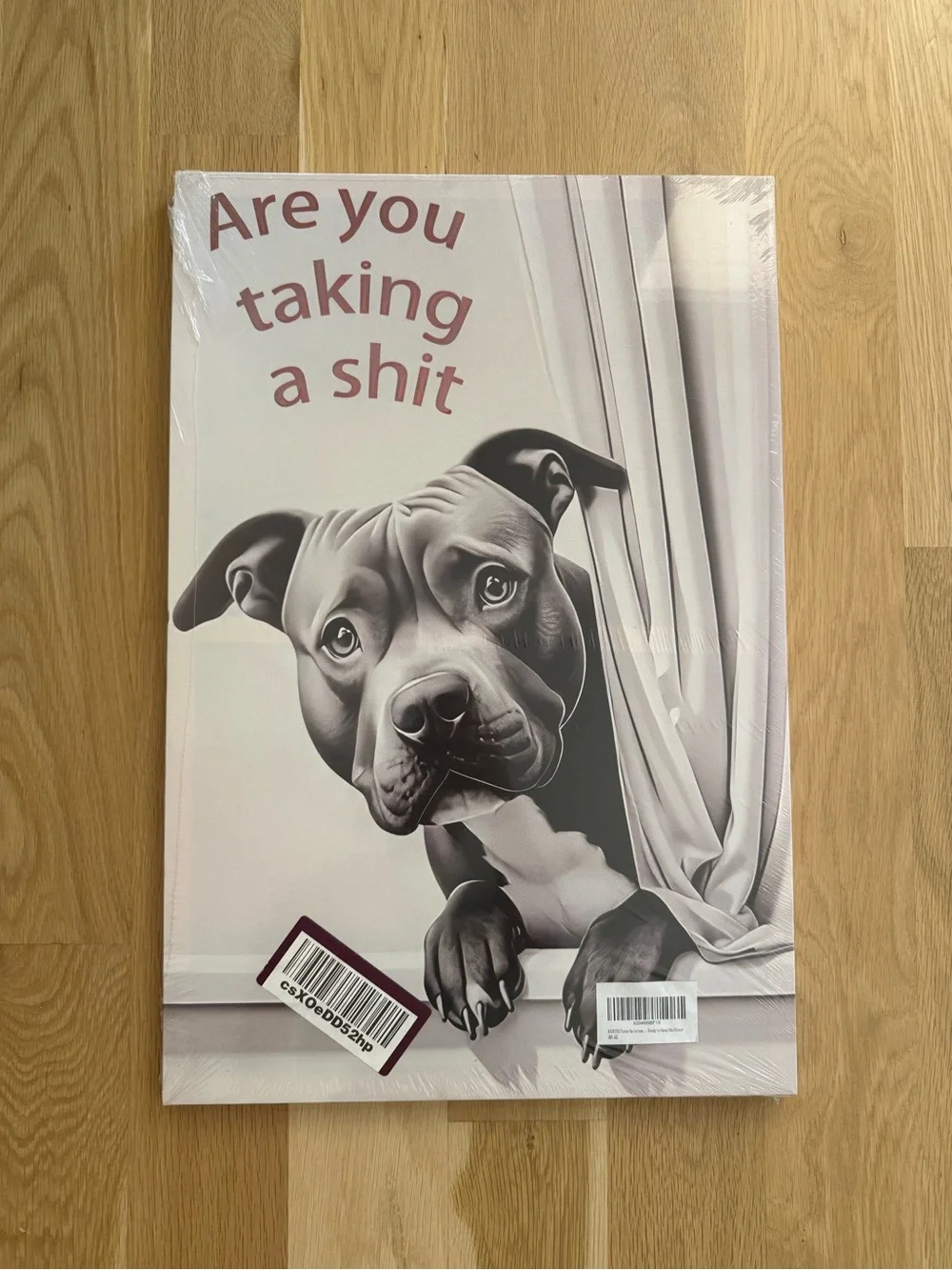 Funny Dog Bathroom Wall Art